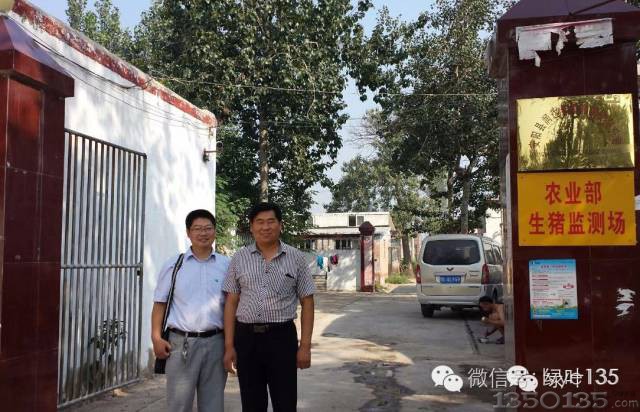 Mr. Yao's Farm