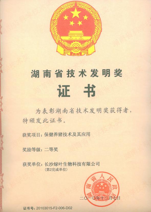 Hunan Province Technology Invention Award